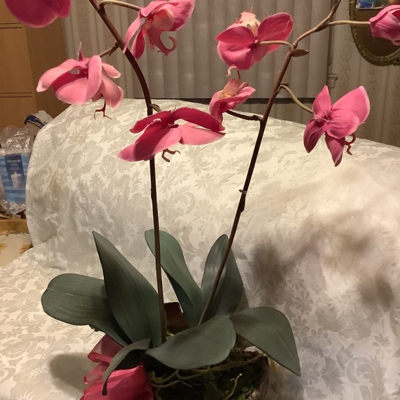 Artificial Tropical Exotic Pink Orchid Plant 30” height  25” base circumference - Picture 4 of 12
